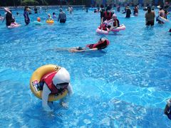 -苏州乐园森林水世界