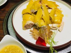 -食德喜·阳山鸡王食研基地