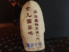 -万达影城(汉街万达广场IMAX店)