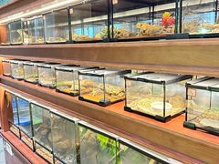 -帕帕拉兹宠物(亚洲旗舰店)