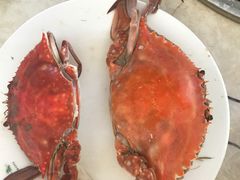 -春华海鲜城(广场西苑店)
