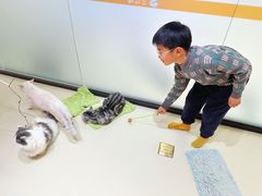 -三花喵·撸猫购宠·宠物生活馆(虹桥南丰城店)