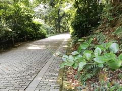 -宝岩生态观光园