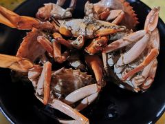 -莲花公园煎蟹(总店)