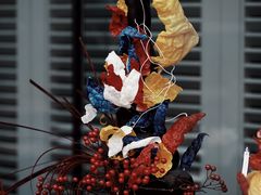 -怪咖·joker陈楠