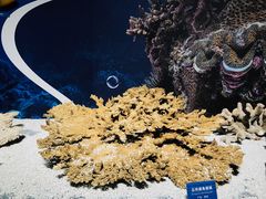 -浙江自然博物院(杭州馆)
