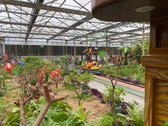 -南宫五洲植物乐园