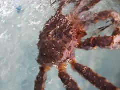 -青石桥市场北1-27号