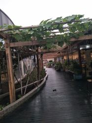 -梦田都市农场(银泰城店)