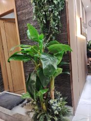 -芳朵美容养生SPA