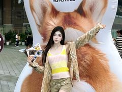 -首开·龙湖成都西宸天街