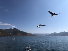 -丽江泸沽湖景区