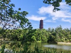 -江苏三台山国家森林公园