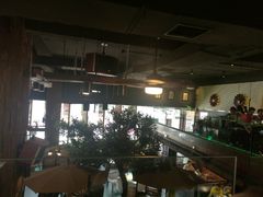 -三强鸽子(中原路店)