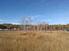 -塞罕坝国家级自然保护区