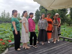 -洪湖家庭农场·团建·露营·会议