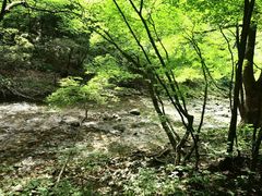 -关门山森林公园