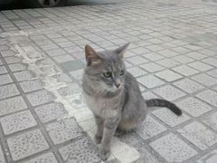 -南渝食府.墨脱石锅松茸鸡