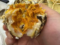 -蟹天蟹地农家菜·阳澄湖大闸蟹(浅水湾店)