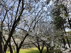 -同济大学(嘉定校区)