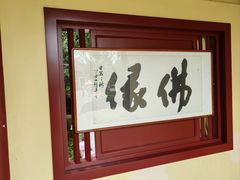 -庐山风景名胜区-东林大佛