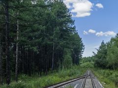 -莫尔道嘎国家森林公园