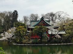 -井之头恩赐公园