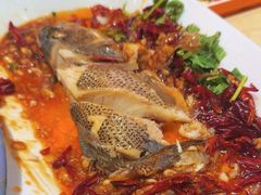 -杨氏青龙虾·羊蝎子(珠江路店)
