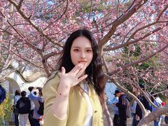 -桃花堤公园