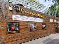 -北京鹿世界主题园