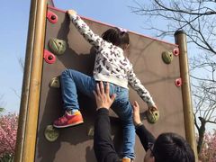 -白塘生态植物园