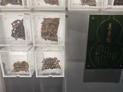-广东中医药博物馆