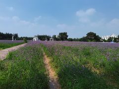 -渔岛海洋度假区