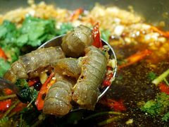 -广东道至正餐厅(区庄店)