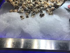 大螺头-V-ONE西雅图海鲜自助餐厅(仓山万达广场店)