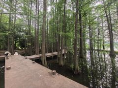 -东湖落雁景区