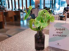 -sugarman espresso素饮糖人高新咖啡工厂