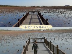 -天津东丽湖风景区