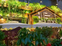 -胡桐里音乐酒馆(孝南店)