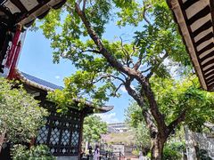 -东莞市可园博物馆