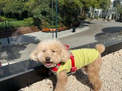 -J Create城市露营咖啡·简餐·宠物(上海动物园店)