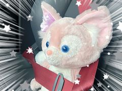 -迪士尼小镇
