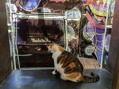 -黑胶星球(华发中城商都店)