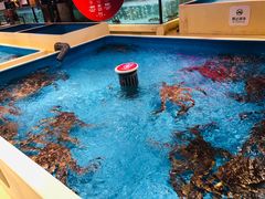 -日进一片海.生腌海鲜火锅.宵夜烧烤(三里屯总店)