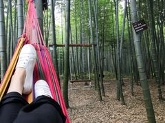 -陶祖圣境风景区