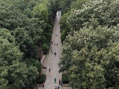 -灵谷景区