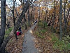 -香炉山国家森林公园