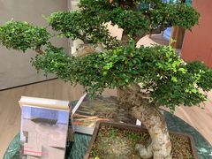 -二酉书店TOYOU BOOKS