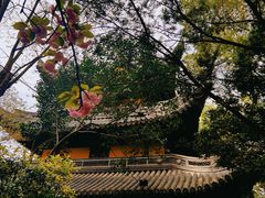 -龙华寺