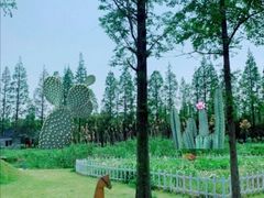 -前小桔亲子创意农场·草莓采摘·露营烧烤